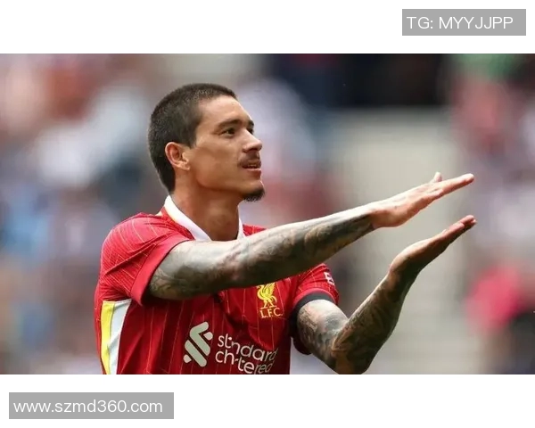 努涅斯的崛起与挑战：解析这位新星在足球世界的影响力与未来潜力